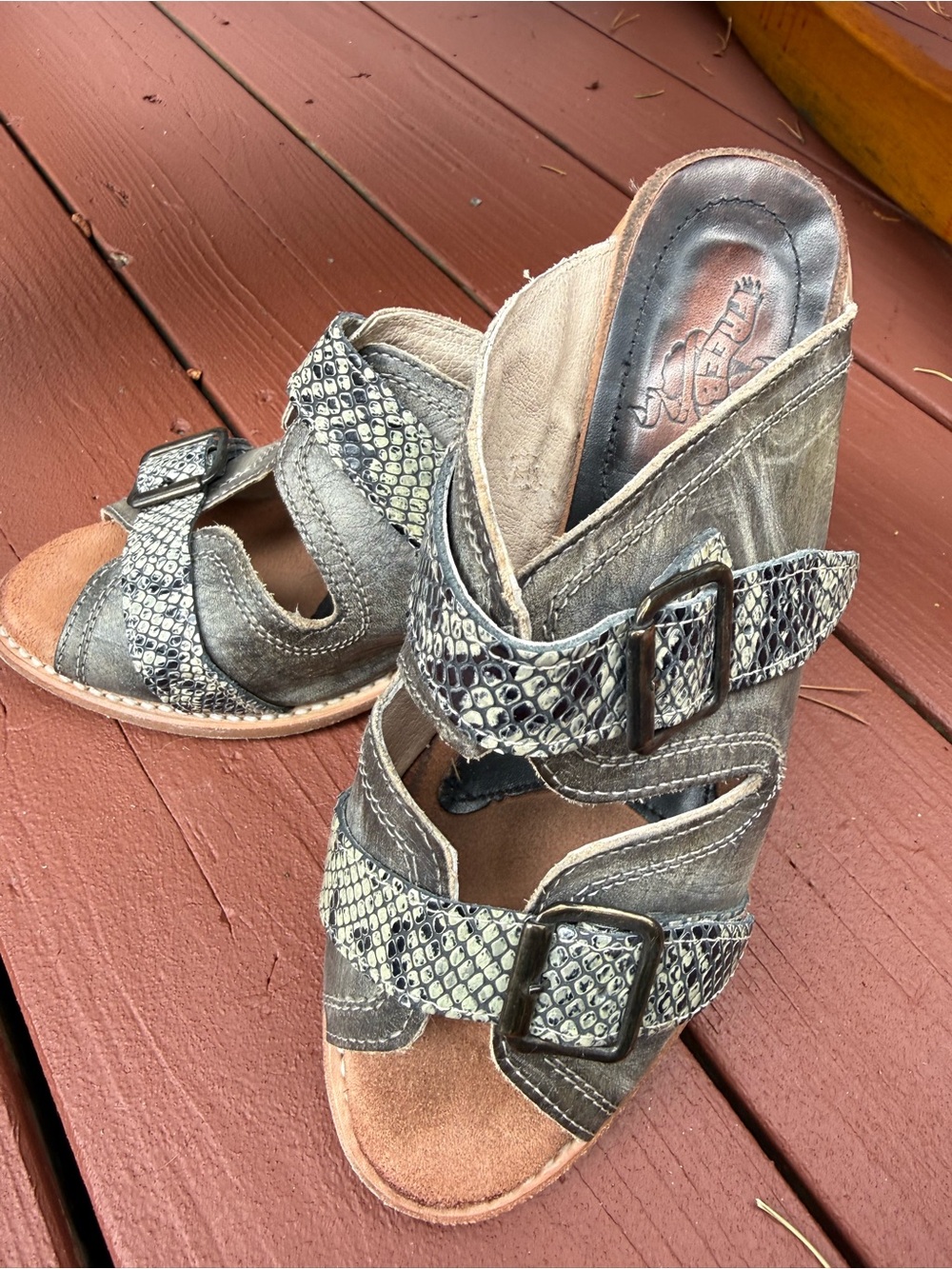 Freebird by Steven Gray Snake-Print Buckle Wedge Mules